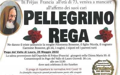 Pellegrino  Rega