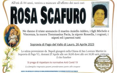 Scafuro Rosa