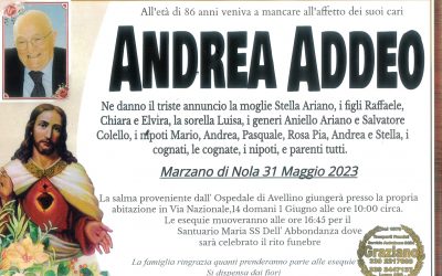 Andrea Addeo