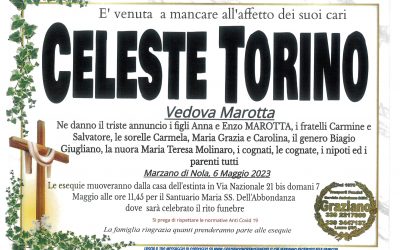 Torino Celeste